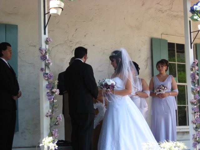 617x456 pixels (96K)